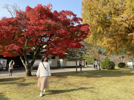 日本小众目的地-山口县3晚4天追枫之旅