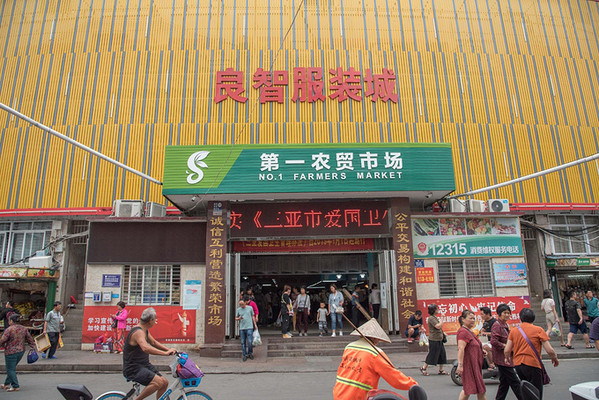 海风缱绻日光温柔，来三亚过一场暖冬