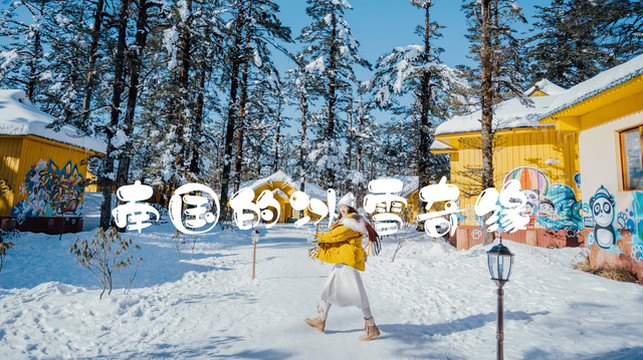 成都周边游 | 川西雪国秘境,冬日童话世界,我与瓦屋山的纯白约定!