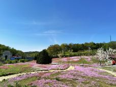 棒棰岛-大连-Travel_ing