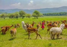 travel picture