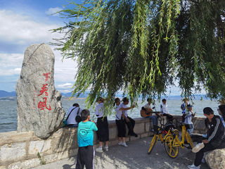 来一场说走就走的旅行!大理洱海、古城、理想邦,现场照片直播