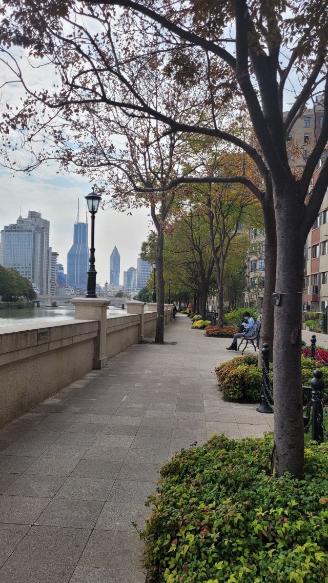 乍浦路桥旅行图片 3