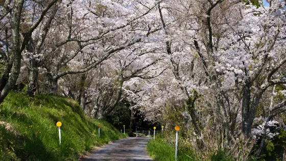 須川水庫