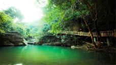 派阳山森林公园-宁明-C-IMAGE