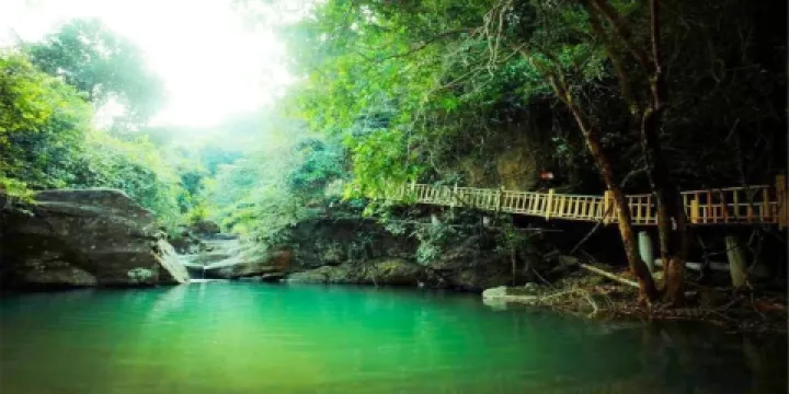 派陽山森林公園