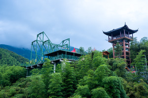 余村两山/大竹海游记图文-春日拍照圣地！安吉大竹海景区竟隐藏了这么多热门打卡点！