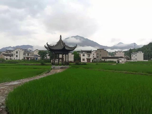 江村旅行图片 1