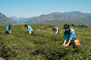 安溪游记图文-周末去哪玩？安溪虎邱走一趟，带你去探寻这个小众的茶乡美景！