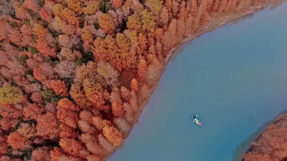 上海海灣國家森林公園-百鳥湖