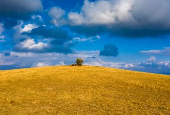 中国云南腾冲东山草原+火山地热国家地质公园+北海湿地一日游【天上草原、看醉美日落、火山地热温泉奇观】