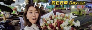 【云南Day122】被打一巴掌又给颗甜枣?跌宕起伏的昆明游!