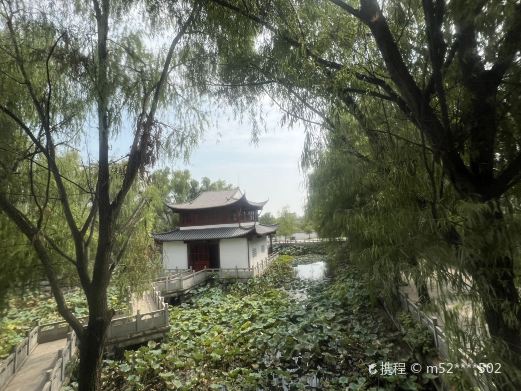 爱莲池