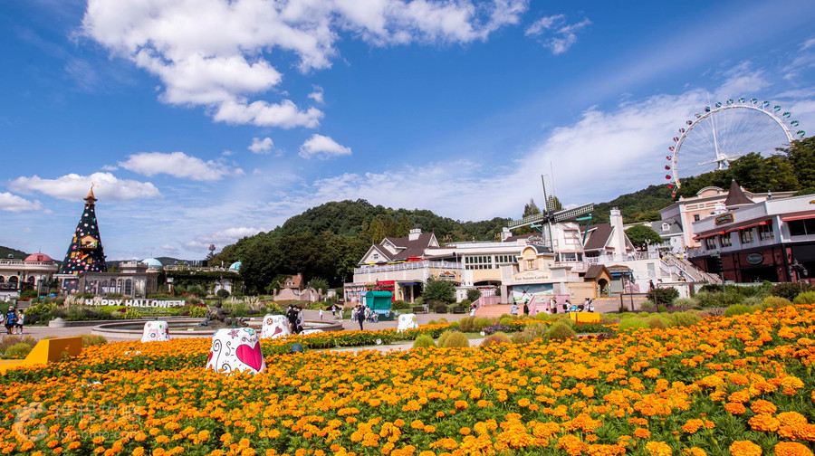 愛寶樂園