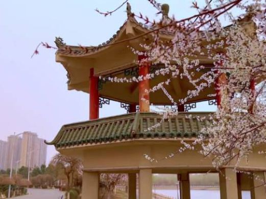 松涛园