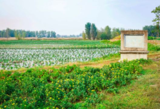 垓下遗址景点图片