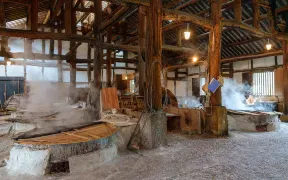 1-Day Zigong Tour: Fantawild Dino Kingdom, Zigong Salt Industry History Museum