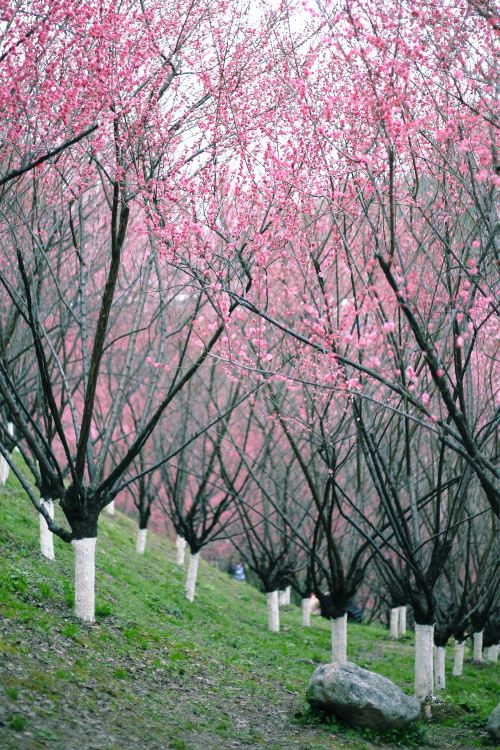 Gallery 1