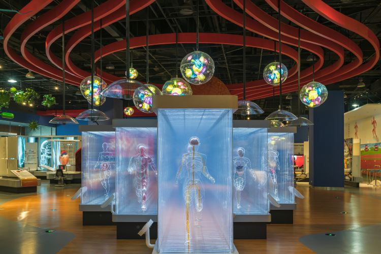 Gallery 2