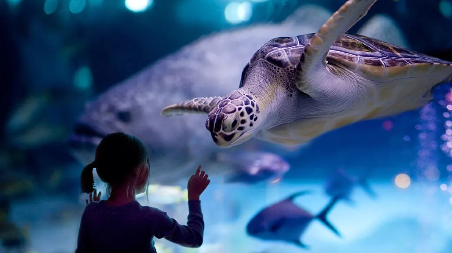 连云港海底世界