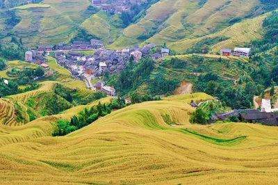 金佛顶3号观景台