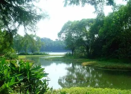 南京多肉植物園