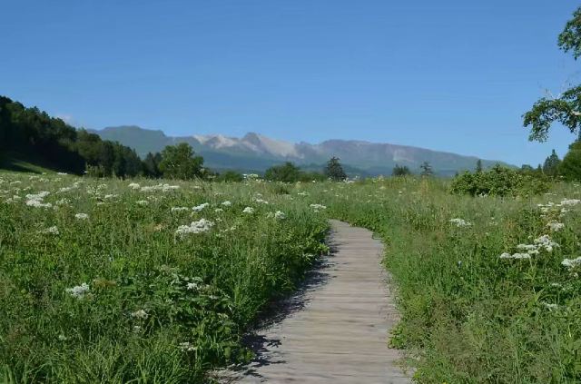 West Slope of Changbai Mountain Scenic Area