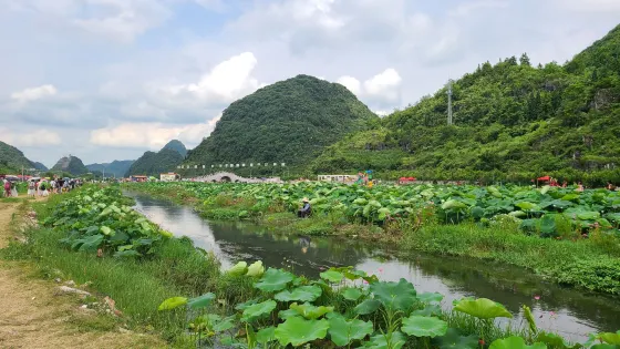 十里荷廊風荷園