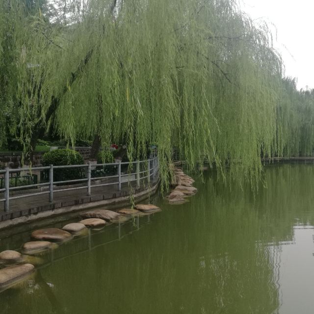 莲湖公园旅行图片 9