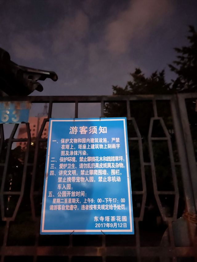 东寺塔茶花园旅行图片 3