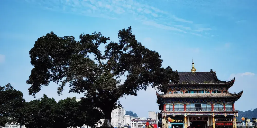 永安旅遊