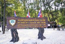 竹子岛景点图片