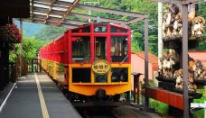 岚山-京都-乐吃购