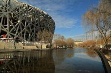 国家体育馆-北京-喜欢猫的虎