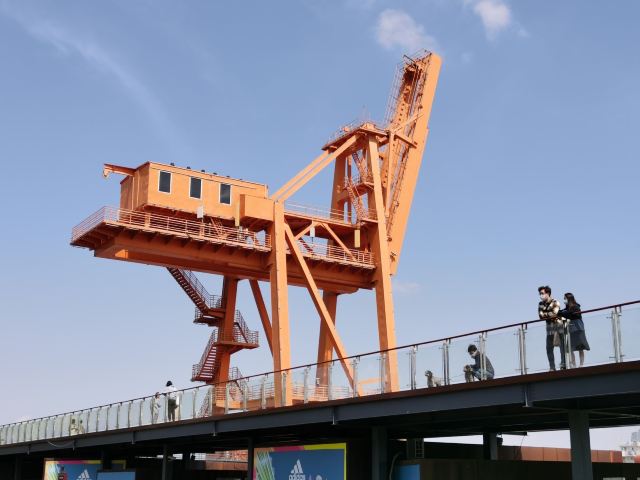 上海市滨江滑板公园旅行图片 1