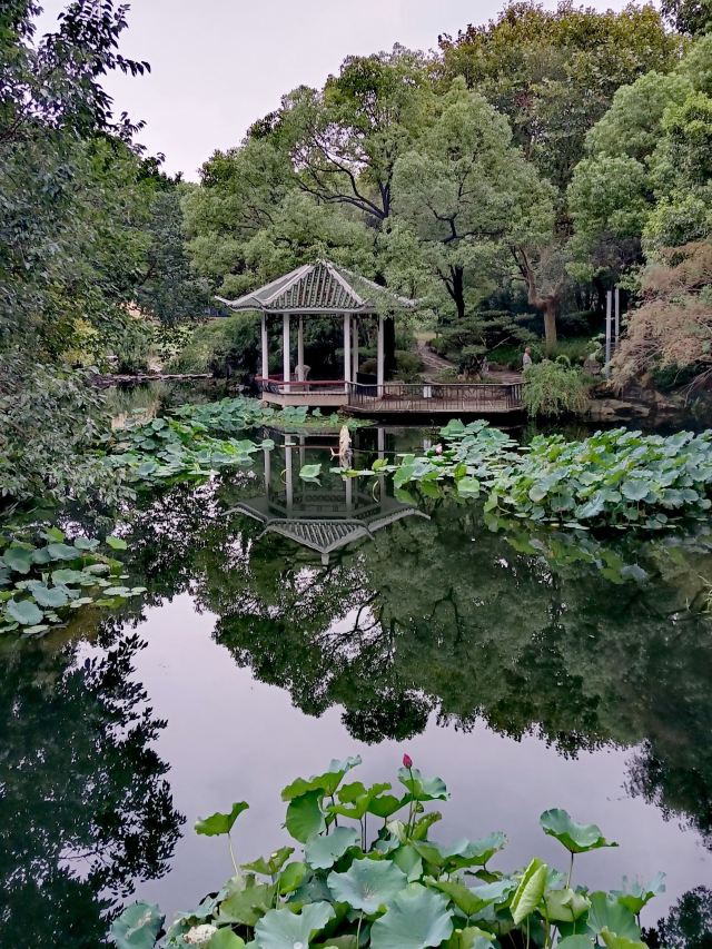 天山公园旅行图片 1
