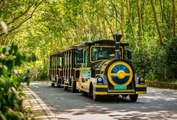 【金牌说】7.5小时讲解 大咖讲师带您穿越钟山风景 私家团【[金牌导游讲师团]他们博古通今，幽默睿智，善于挖掘文物背后的故事，用有趣的方式还原历史真相；】