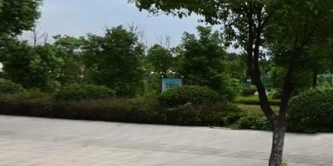 體育公園