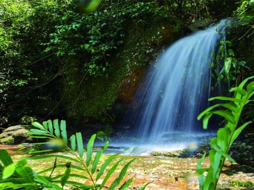 派阳山森林公园