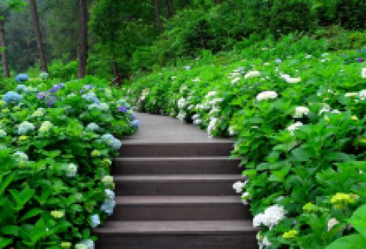 登高云山森林公园景点图片