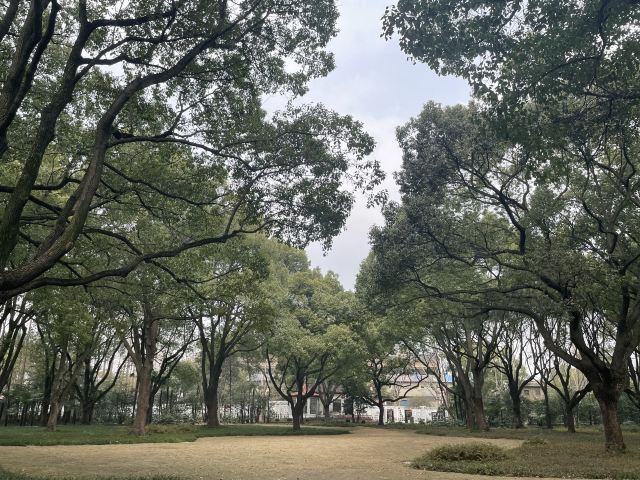 复兴岛公园旅行图片 2
