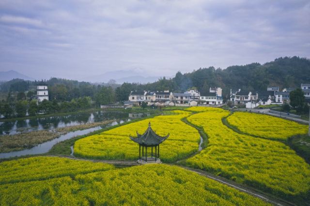 江村旅行图片 2