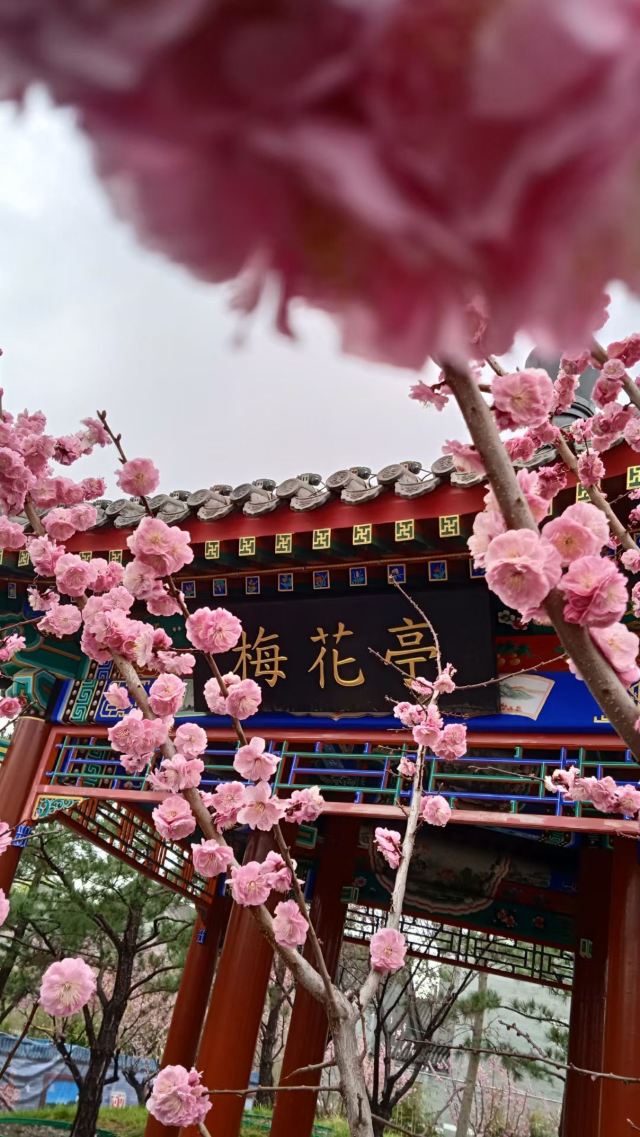 地坛公园旅行图片 4