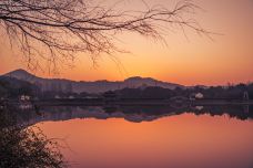慈湖生态公园-温州