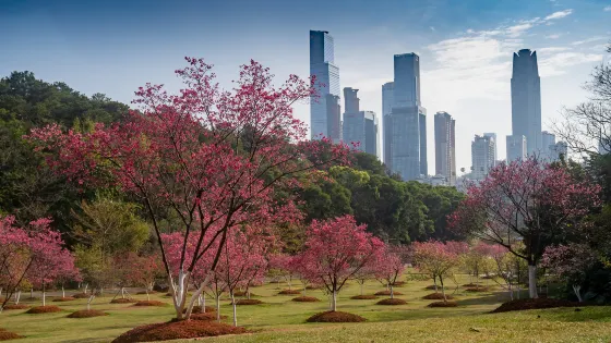 石門森林公園