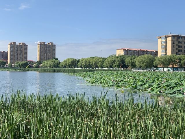 为民湖绿色生态园旅行图片 1
