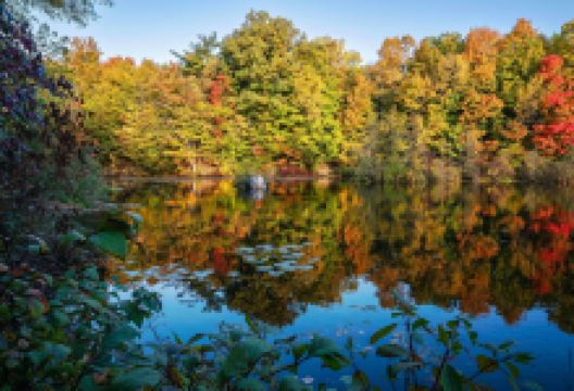 Mill Pond Park景点图片