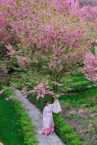 2023无忧盲盒上线，打开心动汶川！