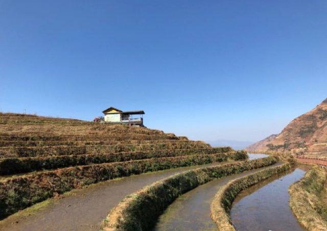 新山梯田旅行图片 2