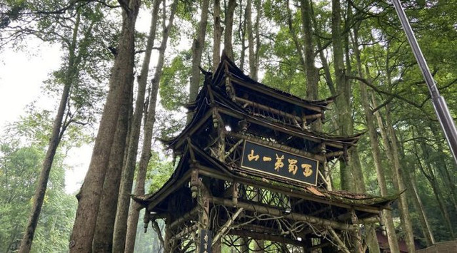 成都青城山喝茶现场海选茶艺场子金牌导游点评